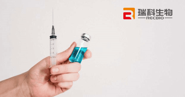 瑞杰科技中标江苏瑞科生物项目管理系统项目(图1)
